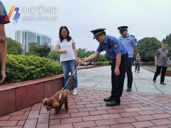 首月处罚215起！宁波养犬管理执法进入常态化